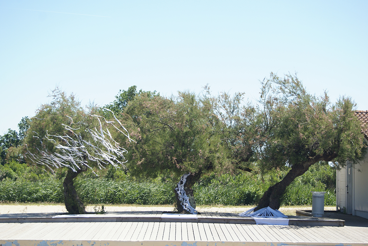 trois par trois tamaris